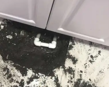 额尔古纳查漏水哪家好